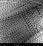 SEM Images - Advance Coatings Wiki