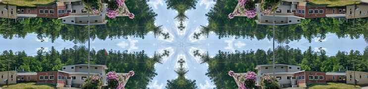 Panorama image attempt easter egg.jpg