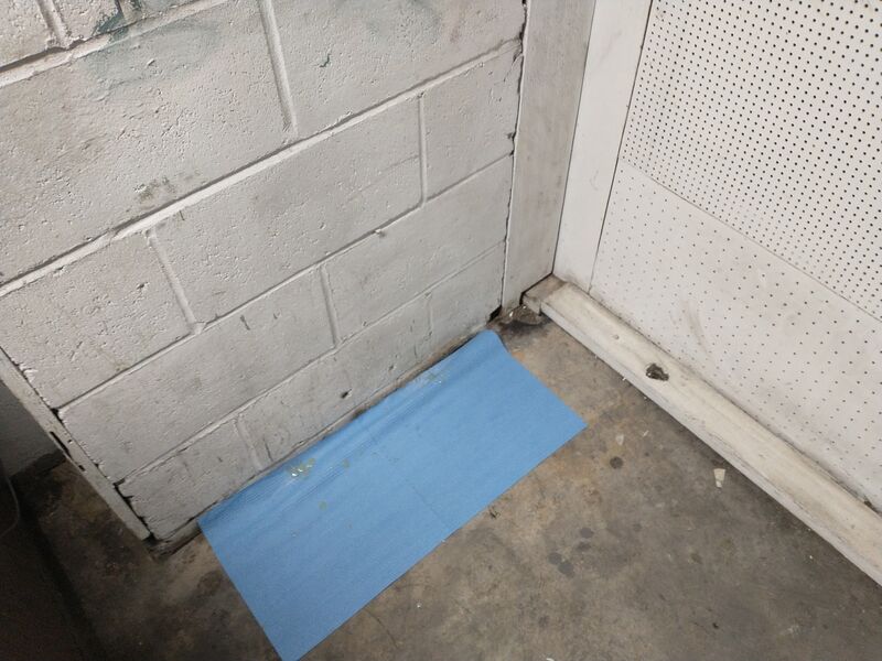 File:IMG 20260112 204307759edit .jpg